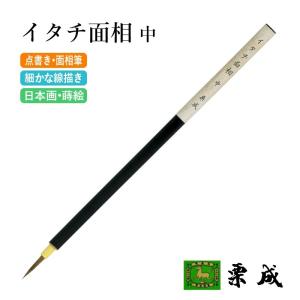 筆 書道 絵画 絵手紙用 栗成 イタチ面相 中