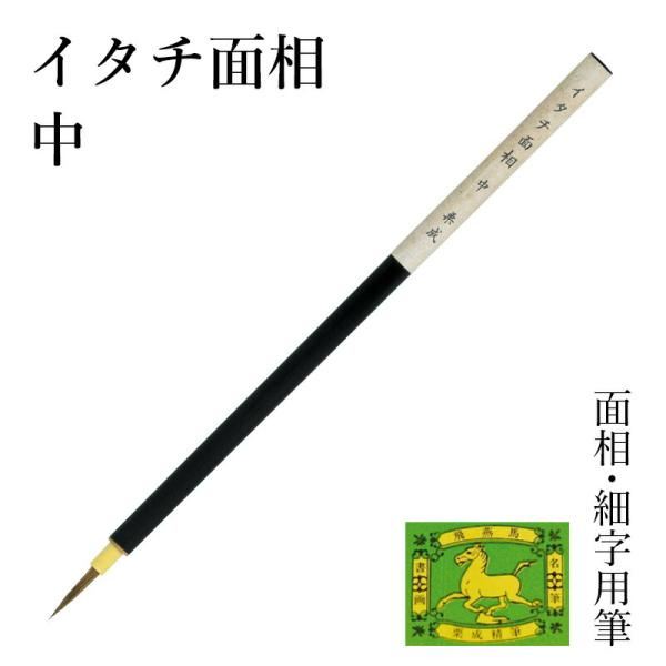 筆 書道 絵画 絵手紙用 栗成 イタチ面相 中