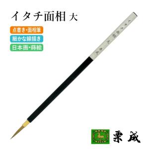 筆 書道 絵画 絵手紙用 栗成 イタチ面相 大