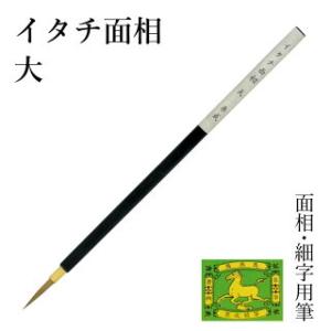 筆 書道 絵画 絵手紙用 栗成 イタチ面相 大