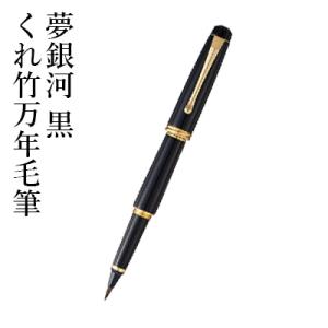 万年毛筆ペン 呉竹 くれ竹万年毛筆 夢銀河 黒