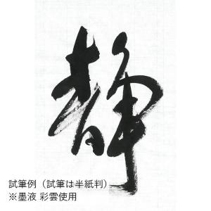 書道用紙 画仙紙 漢字用 手漉き 栗成 青月 ...の詳細画像1