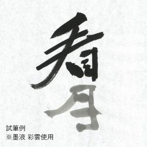 書道用紙 半紙 栗成 看月 半紙100枚の詳細画像1