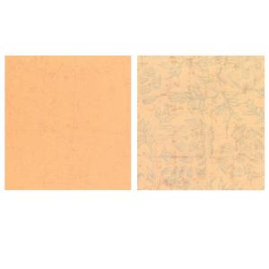 料紙 書道 画仙紙 寸松庵色紙 練習用(13×...の詳細画像1