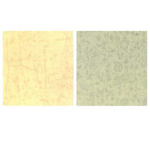 料紙 書道 画仙紙 寸松庵色紙 練習用(13×...の詳細画像2