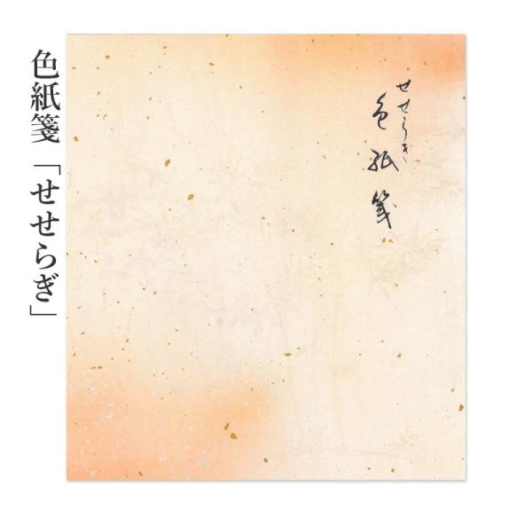 色紙 色紙箋 せせらぎ 5種各2枚 10枚入り