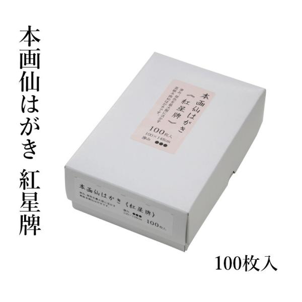 はがき 絵手紙 水墨画 無地 手漉き 本画仙はがき 紅星牌 100枚