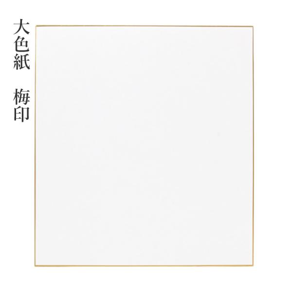色紙 書道 大色紙大色紙 梅印 10枚