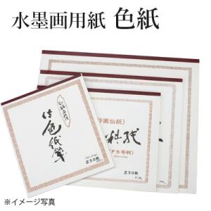 水墨画用紙 色紙