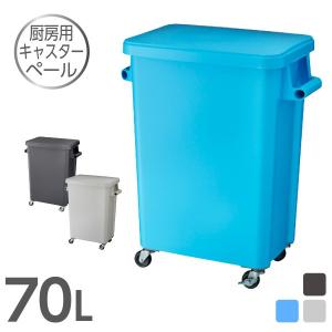 RISU（リス） 材料保管容器 70L キッチン 保存容器 ストッカー 厨房