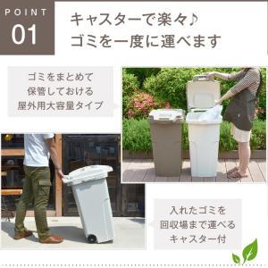 RISU植物由来キャスターペール70C2 ゴミ...の詳細画像1