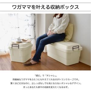 トランクカーゴ 30L TC-30 コンテナボ...の詳細画像2