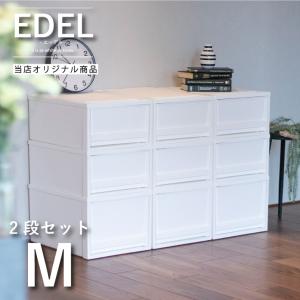 収納 引き出しEDEL エーデル Mサイズ 2段セット ボックス