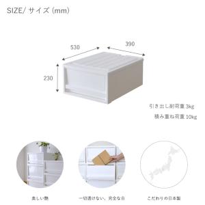 収納 引き出しEDEL エーデル Mサイズ 2...の詳細画像3