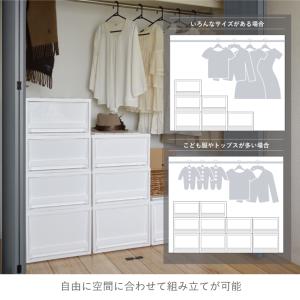収納 引き出しEDEL エーデル Mサイズ 2...の詳細画像4