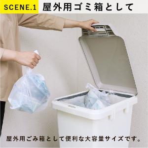 ゴミ箱 屋外 防臭ペール70JS おしゃれ 分...の詳細画像1