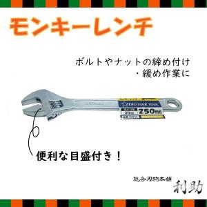 モンキーレンチ アジャスタブル スパナ 250mm 目盛付き Jetech｜risuke