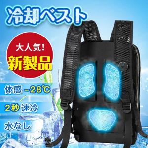 冷却ベスト 水冷服 ペルチェ素子採用 【2026超大冷却面・冷却ブレート付き】 瞬間冷却 最大-28℃冷やす USB給電式 強弱モード フリーサイズ 静音稼働