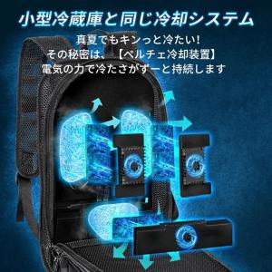 冷却ベスト 水冷服 ペルチェ素子採用 【202...の詳細画像2