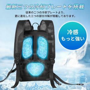 冷却ベスト 水冷服 ペルチェ素子採用 【202...の詳細画像4