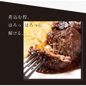 馬刺し 肉 熊本 国産 馬刺し熊本 ほほ肉 2...の詳細画像4