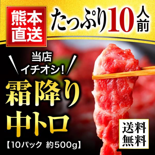 馬刺し 肉 熊本 中トロ 霜降りフェア 500g 約50g×10 約10人前 馬肉 ギフト 利他フー...