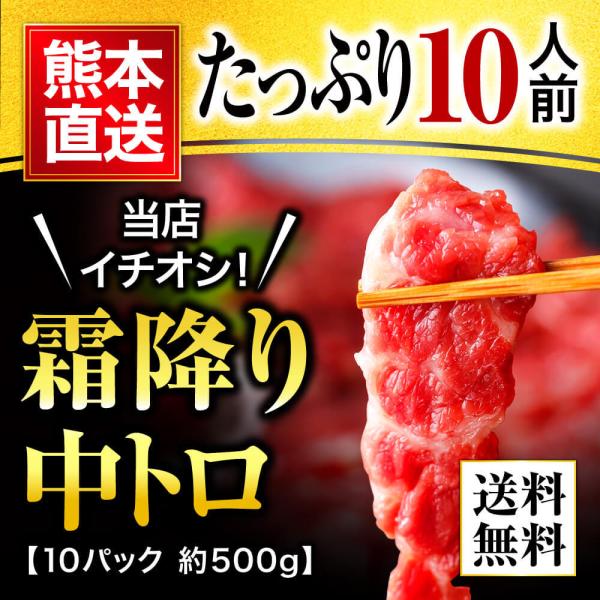 馬刺し 肉 熊本 中トロ 霜降りフェア 500g 約50g×10 約10人前 熊本肥育 ギフト 食べ...