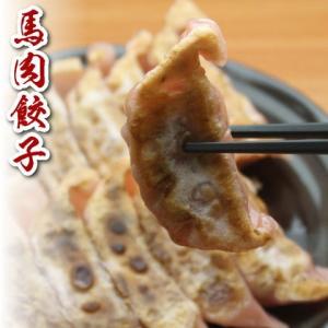 餃子 馬刺し 肉 熊本 国産 馬刺し餃子 さくら...の商品画像