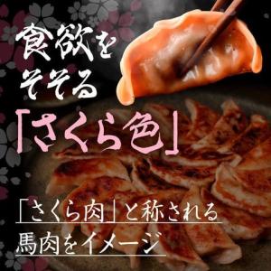 餃子 馬刺し 肉 熊本 国産 馬刺し餃子 さく...の詳細画像2