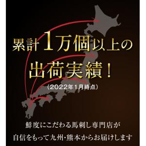 鳥刺し 鶏タタキ 国産 鳥のたたき 九州産 味...の詳細画像2