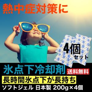 保冷剤 最強 プロ仕様 氷点下 -15℃ 冷凍 長持ち 保存 長時間 200g 11×17cm 4個...