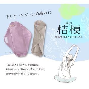 IBI 光線治療器 サナモア用 ジョイントカーボン 5箱セット(50本) 医療