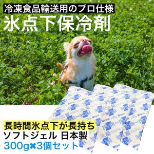 保冷剤 プロ仕様 最強 長持ち 長時間 氷点下 −15℃ 冷却剤 ジェル 15x20x厚み1.5cm 300g 3個セット 蓄冷剤 コンパクト ソフト 冷凍 アウトドア キャンプ 日本製