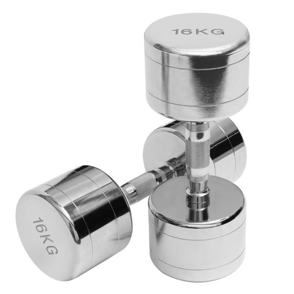 RITFIT ダンベル ステンレス製 ダンベル 2 4 6 8 10 12 14 16kg 2個セッ...