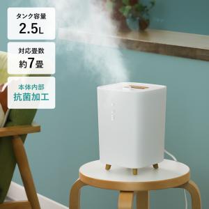 ルーミスト スチームファン蒸発式加湿器 SHE60SD 三菱重工 (D