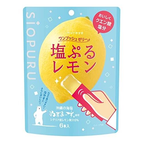 井村屋 ワンプッシュゼリー 塩ぷるレモン 15g×6本×8袋