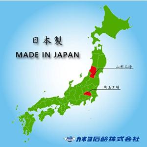 【大容量】カネヨ石鹸 柔軟剤入り衣料用液体洗剤...の詳細画像4