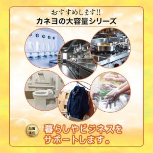 【大容量】カネヨ石鹸 柔軟剤入り衣料用液体洗剤...の詳細画像5