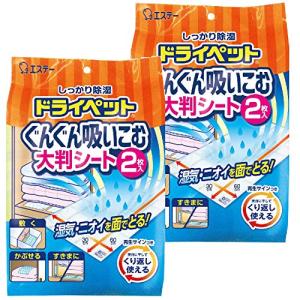 【まとめ買い】ドライペット 除湿剤 ぐんぐん吸いこむ大判シート くりかえし再生タイプ 2枚入×2個 押入れ クローゼット用 湿気取り｜ritsumushop