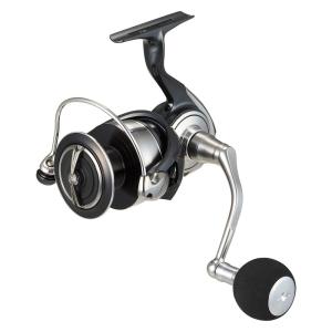 DAIWA（ダイワ） 23 ソルティガ 6000-H (2023年モデル) スピニング