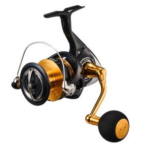 DAIWA（釣り） 23 レガリス LT5000-CXH スピニングリール - 最安値