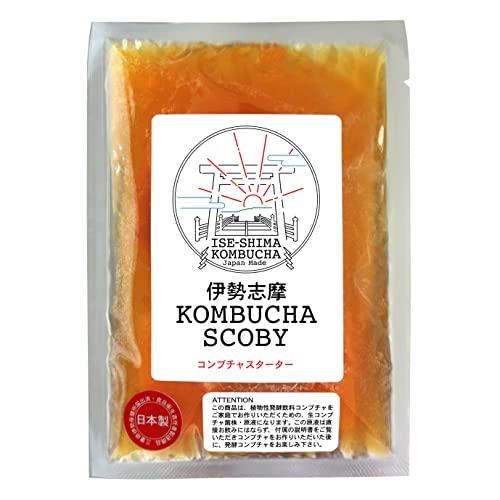 国産 コンブチャ スターターキット ［伊勢志摩 KOMBUCHA SCOBY コンブチャ スコビー ...