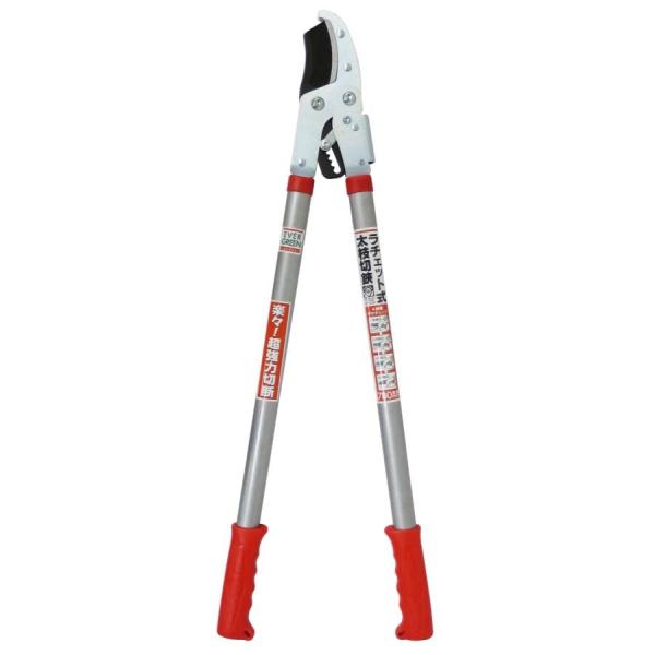 DAISHIN ラチェット式太枝切鋏 50mm 5cm 太枝切り鋏 えだ 枝 はさみ ハサミ 園芸 ...