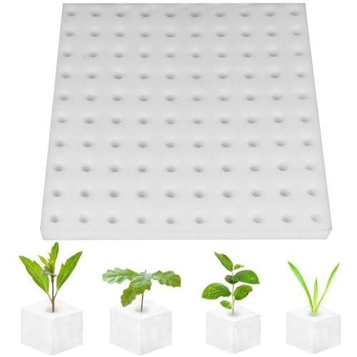 Phyxiul 水耕栽培スポンジ 野菜植えスポンジ 園芸用品 水耕栽培 葉菜用培地 スポンジ 土壌な...