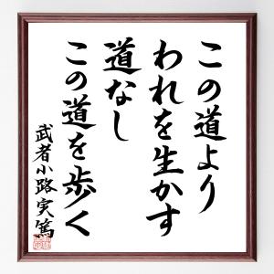 直筆書道の名言色紙ショップ千言堂 武者小路実篤 偉人からさがす Yahoo ショッピング