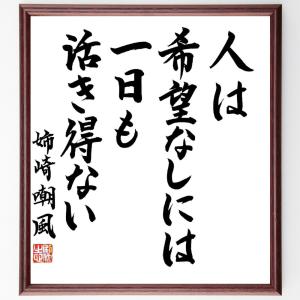 姉崎正治（嘲風）の名言「人は希望なしには一日も活き得ない」額付き書道色紙／直筆済み｜rittermind