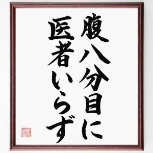 名言「腹八分目に医者いらず」額付き書道色紙／直筆済み｜rittermind