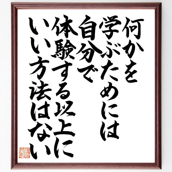 アインシュタインの名言「何かを学ぶためには、自分で体験する以上に、いい方法はない」直筆書道色紙額／直...