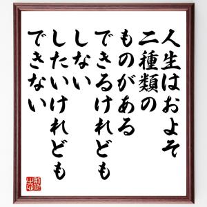 ゲーテの名言「人生はおよそ二種類のものがある、できるけれどもしない、したいけれどもできない」額付き書道色紙／受注後直筆｜rittermind