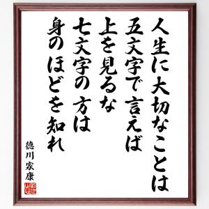 徳川家康の名言「人生に大切なことは、五文字で言えば上を見るな、七文字の方は身のほどを知れ」額付き書道色紙／受注後直筆｜rittermind